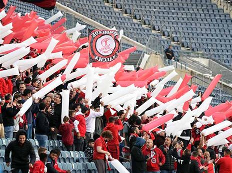 (ברני ארדוב)