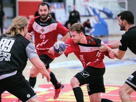 (הדר ואן קולא, איגוד הכדוריד)