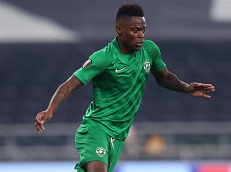 צ'יבוטה ילבש צהוב? (GETTY)