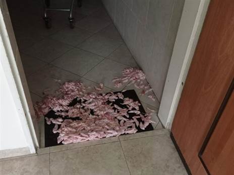 מחאה מכוערת (האתר הרשמי של הפועל ת"א)