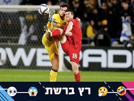 (אלן שיבר)