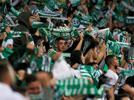 אוהדי חיפה. ימלאו את יציעי סופר (אלן שיבר)