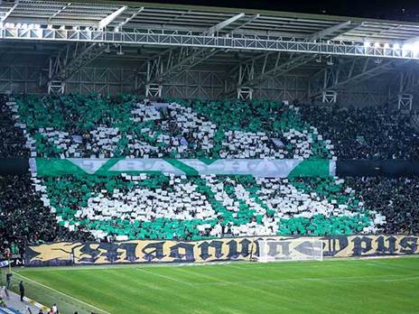 הקהל הירוק שובר שיאים (מאור אלקסלסי)