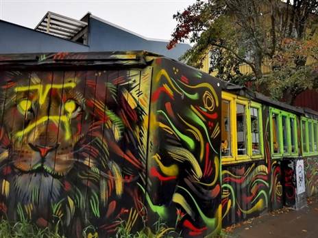 (מוטי פשכצקי)