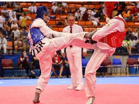 (צילום: גלעד קלוורצ׳יק, התאחדות הטאקוונדו הישראלי)