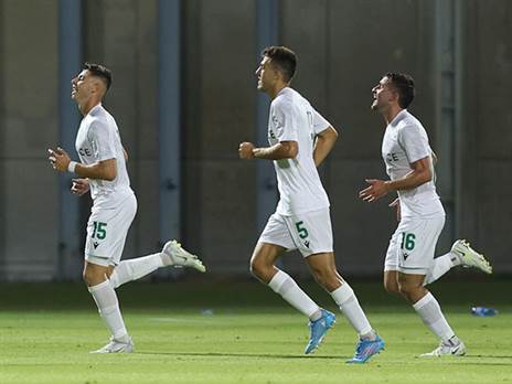 (צילום: לירון מולדובן)