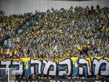 הצהובים דורשים עזרה (אלן שיבר)