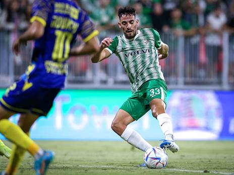 מחזיק בהצעות (מאור אלקסלסי)