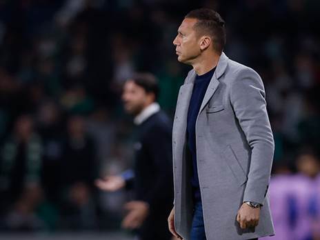 יש לחיפה את הכלים, אין תירוץ (אלן שיבר)