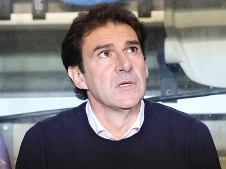 קראנקה. מסתכל על הצמרת מלמטה (ברני ארדוב)