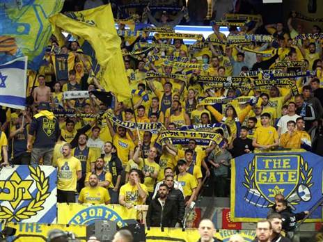 יצאו מרוצים. אוהדי מכבי (אלן שיבר)