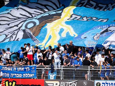 (מאור אלקסלסי)