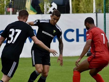 (הטוויטר של גורניק לצ'נה)