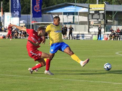 (דוברות הפועל ת"א)