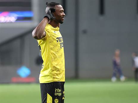 (ברני ארדוב)