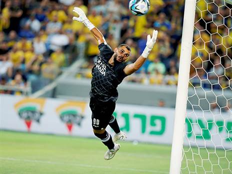 יקבל את הקרדיט? משפתי (אלן שיבר)