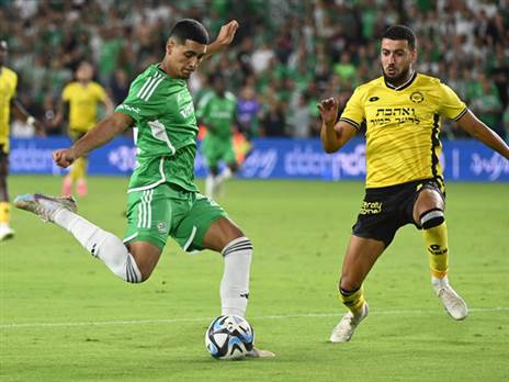 נקודות חשובות (ברני ארדוב)