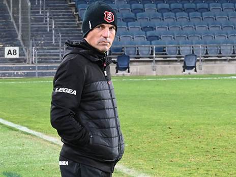 אריה בבעיה (ברני ארדוב)