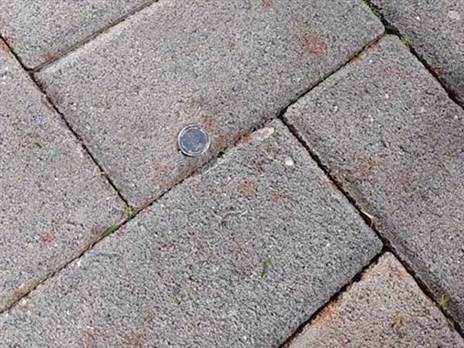 המטבע שפגע בשרי