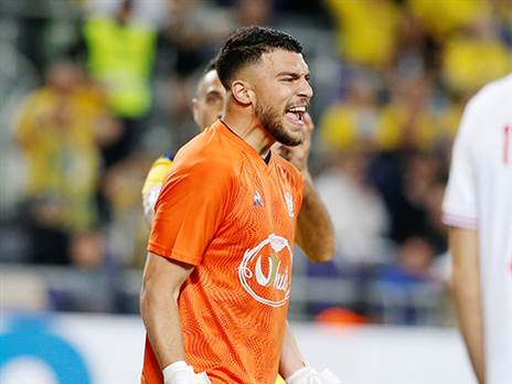 אבו ניל. המצטיין של סכנין (אלן שיבר)