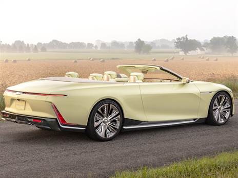 מבוססת על הסלסטיק