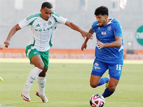 סברינה. איטי בקבלת ההחלטות (אלן שיבר)