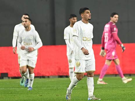 סופגים יותר מדי שערים (ברני ארדוב)