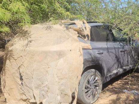 (צילום: פוינטר)