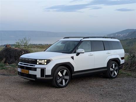 צילום: רן סגל