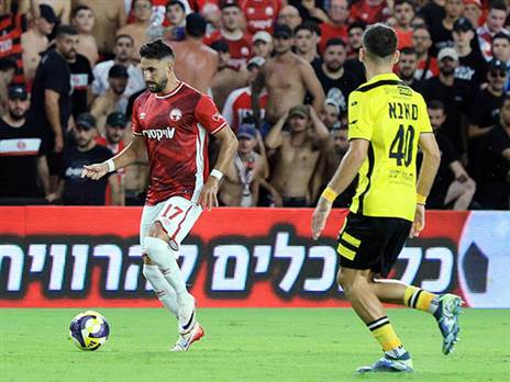 (צילום: אלן שיבר)