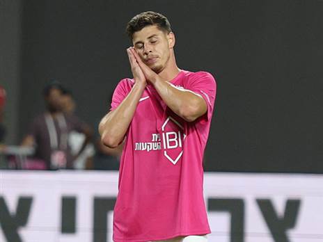 (צילום: אלן שיבר)