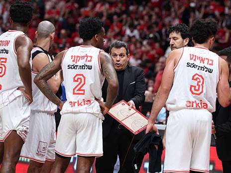 עוד תואר הלך (אלן שיבר)