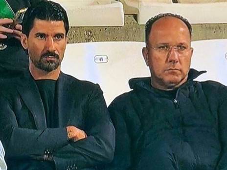 (ברני ארדוב)