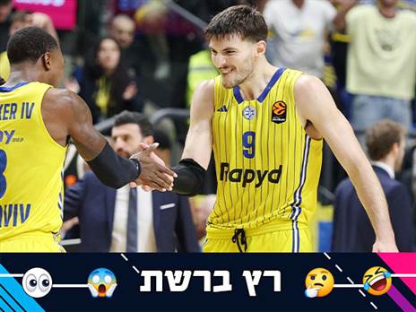 (אלן שיבר)