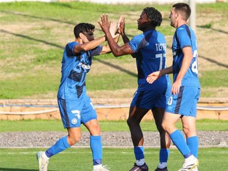 (אודי ציטיאט)