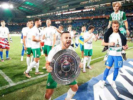 סבע מעל כולם (אלן שיבר)