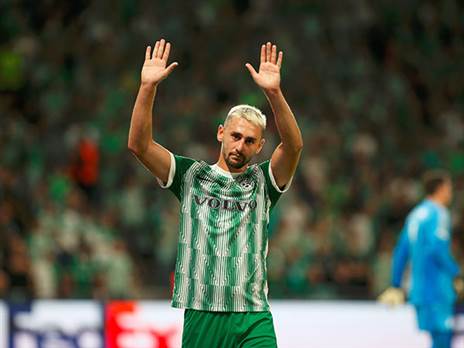 יש מציאות בינואר (אלן שיבר)