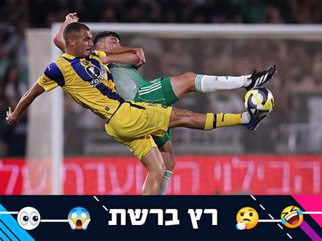 (מאור אלקסלסי)