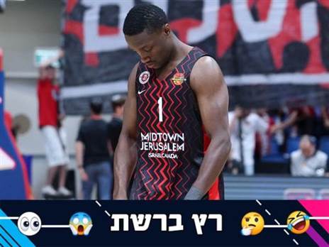 (אלן שיבר)