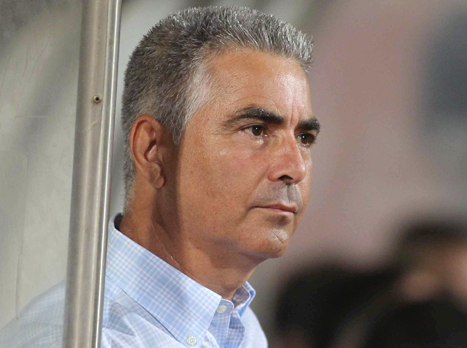 מחפש נקודה ראשונה. פרדי דוד (אלן שיבר)