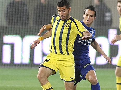 טיבי. מוכן לפתיחת העונה (אלן שיבר)