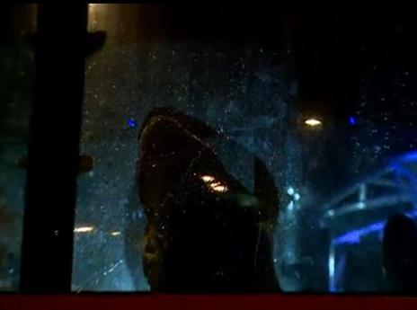 אירוע מגעיל בנתניה (צילום: ינון סלוצקי)