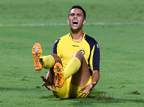 זהבי. יחסר לסוזה