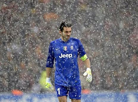 בופון תחת השלג. לפחות התמונות יפות (gettyimages)
