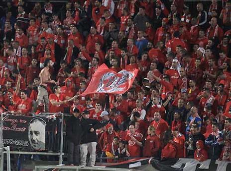 ולא רק בצהוב (אלן שיבר)