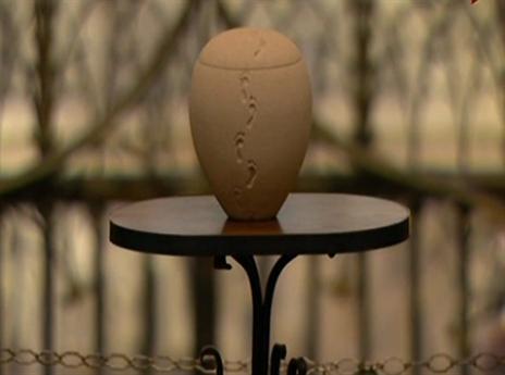 הכד עם אפרו של טיטו וילאנובה