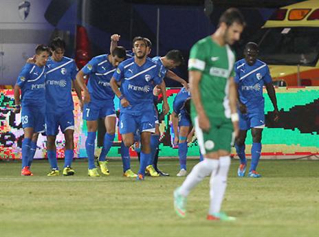 כך נראית העונה כולה (צילום: יוסי שקל)