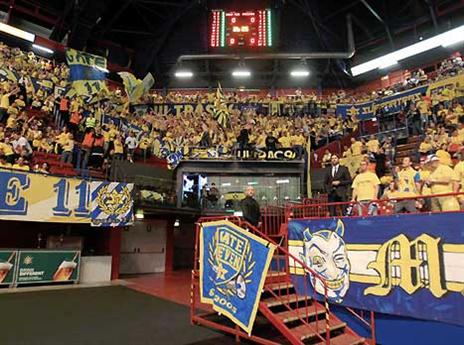 והקהל כבר מוכן לגמר ביום ראשון