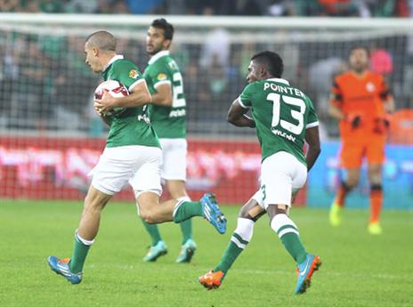 רק צימק. ורד (אלן שיבר)