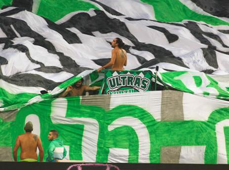 ההמלצה" הגעה מוקדמת (אלן שיבר)